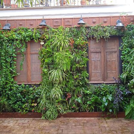 Apartamento La Gota De Leche 4 Sanlúcar de Barrameda Exterior foto